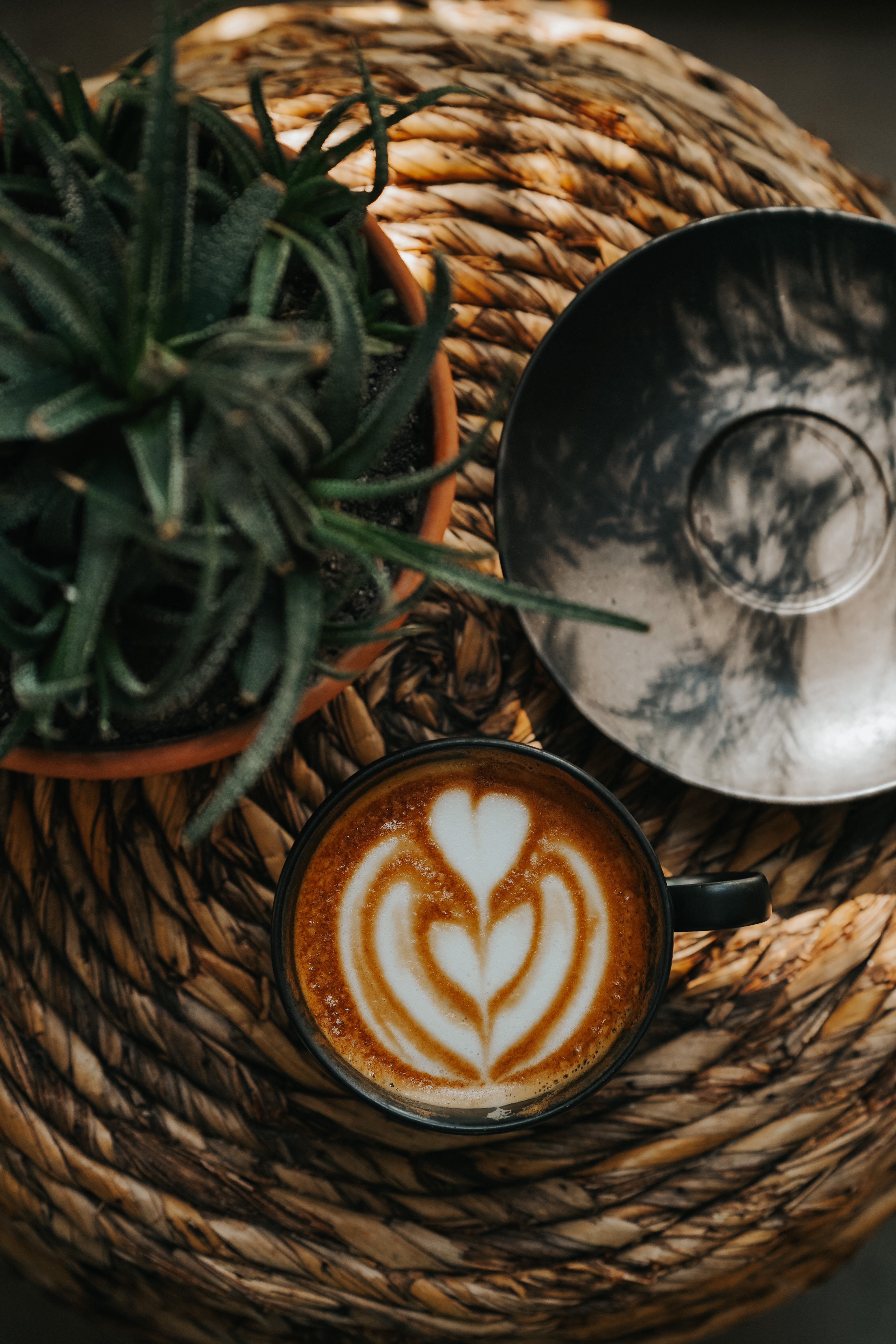 5 Delicious Espresso Recipes to Try at Home